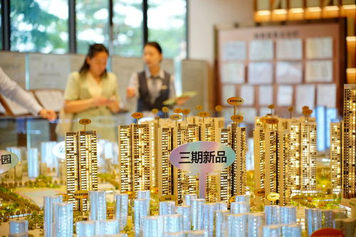 公安部 配合做好房地产等领域风险防控和化解工作